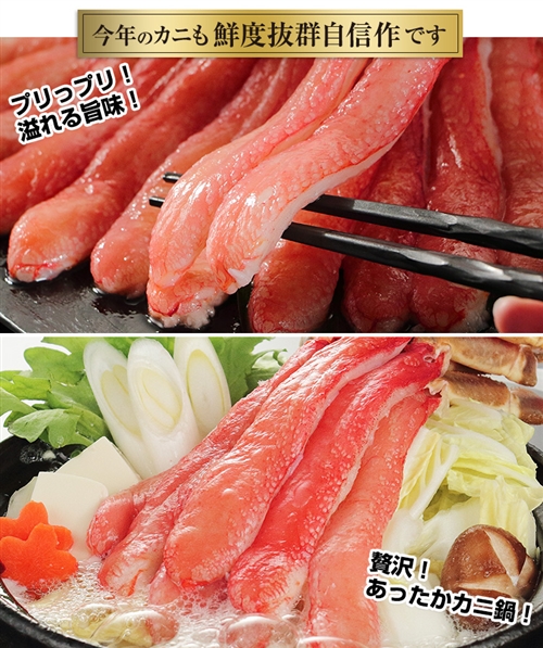 超特大９Ｌ生ずわい蟹「かにしゃぶ」脚肉むき身 １kg超