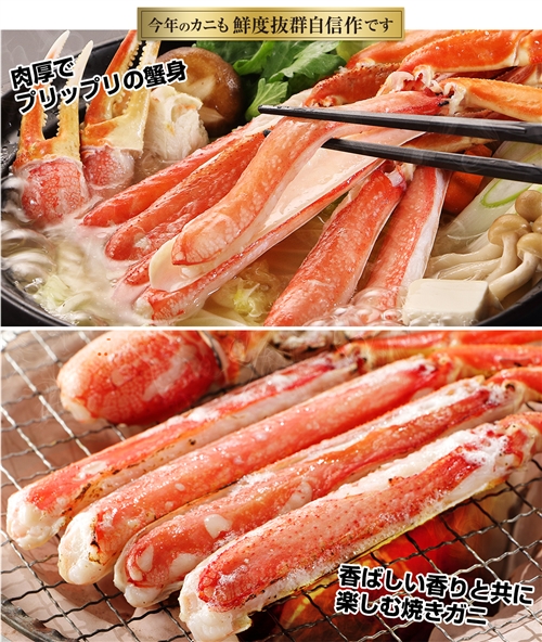 超特大１０Ｌ～８Ｌ生ずわい蟹半むき身満足セット ３kg超