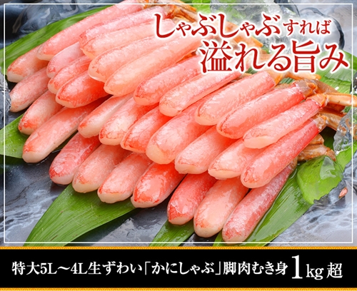 特大５Ｌ～４Ｌ生ずわい蟹「かにしゃぶ」脚肉むき身 １kg超