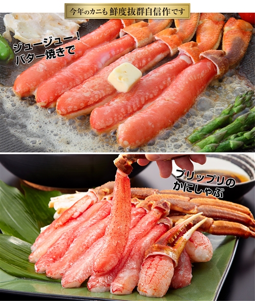生ずわい蟹「かにしゃぶ」むき身満足セット ２kg超