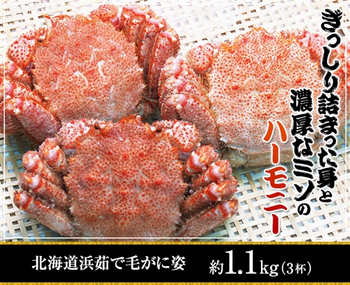 北海道浜茹で毛蟹姿約１．１kg（３杯）