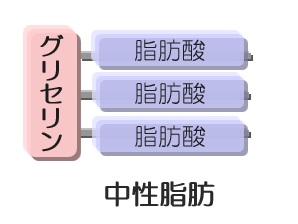 【おいしさを科学的に徹底解説・熟成生ハムのハモンセラーノ、ハモンイベリコ、プロシート・その２】今日も匍匐前進