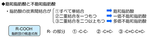 【通販で取り寄せる良質なオリーブオイル特集】今日も匍匐前進